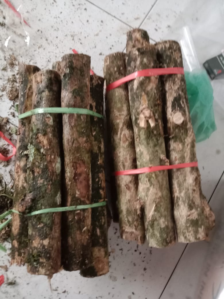 Jual Kayu Bakar (kopi) Harga Pabrik Jombang